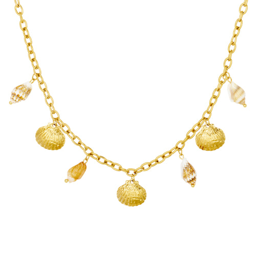 Shell Charm Necklace